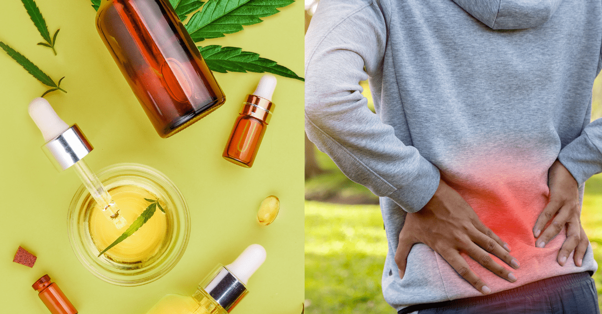 Does CBD help with back pain 1