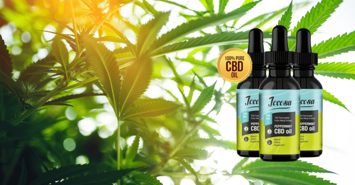 Jocasa CBD Oil 1