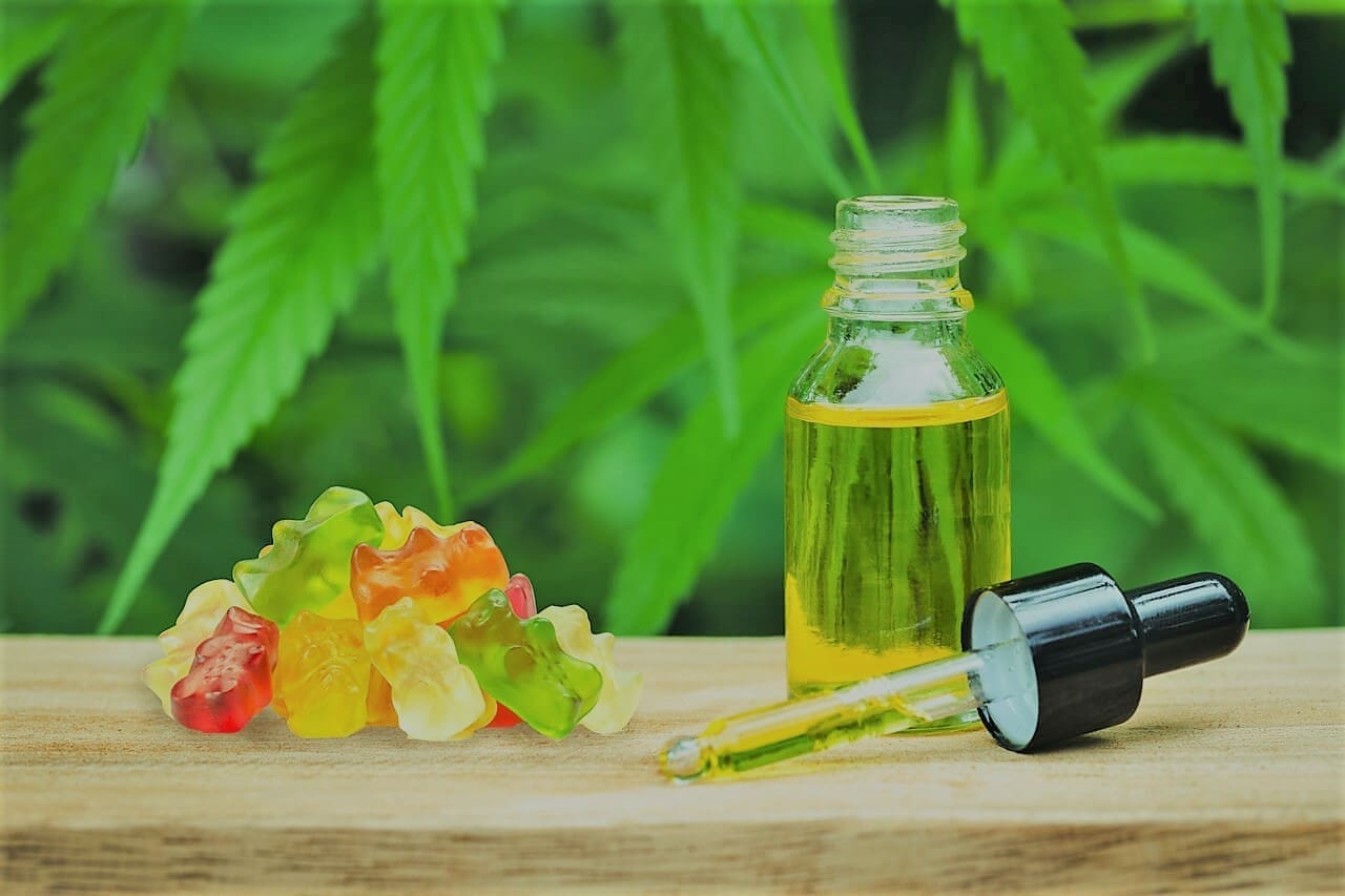 CBD OIL VS Gummie