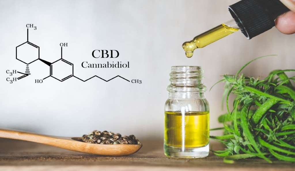 using cbd during pregnancy