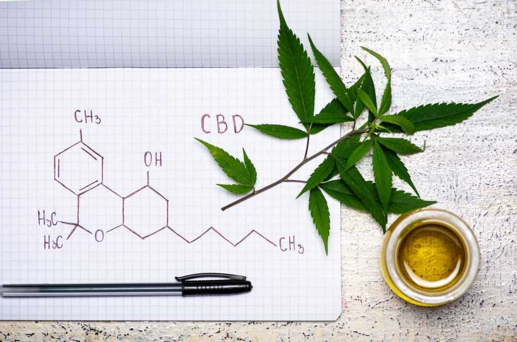 benefits of broad spectrum cbd oil