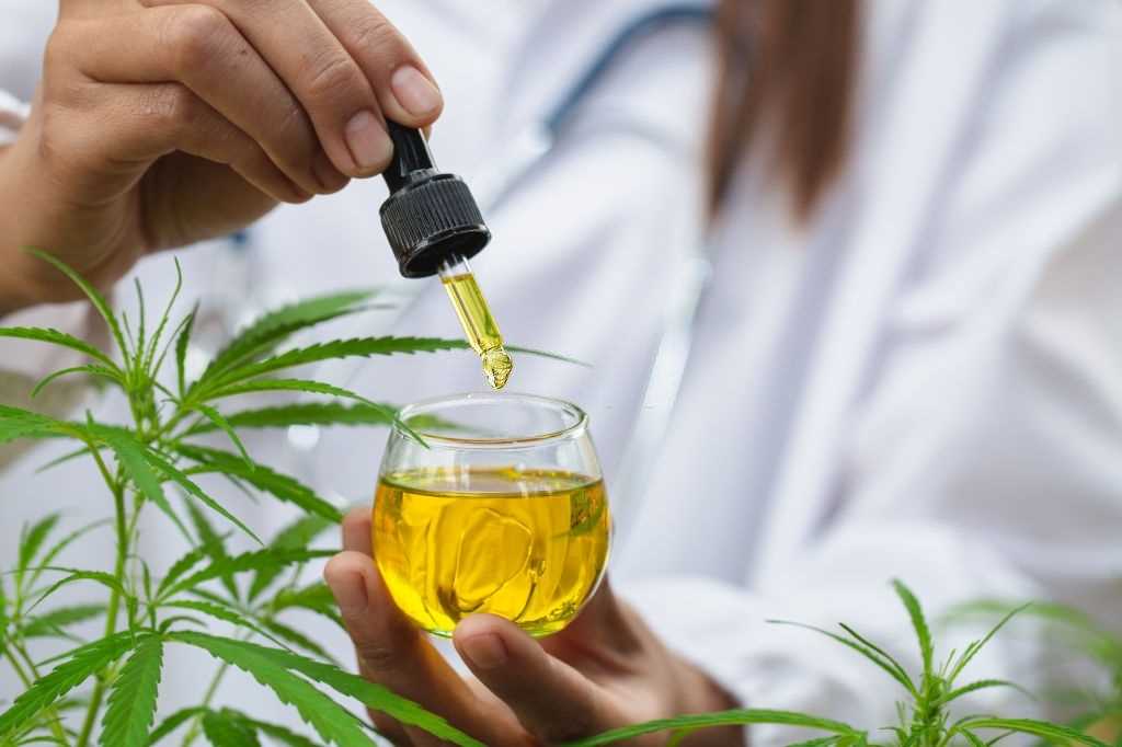 carrier oils for CBD