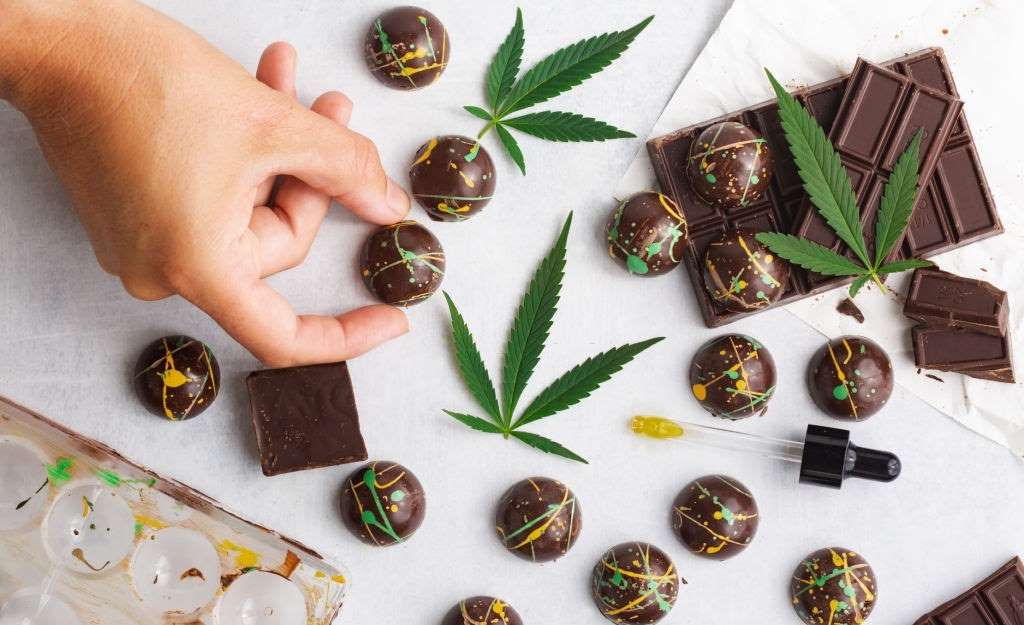 guide to cbd edibles