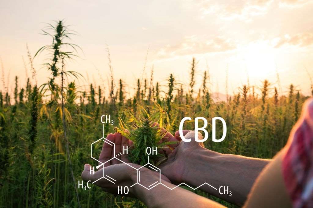 how much does CBD oil cost