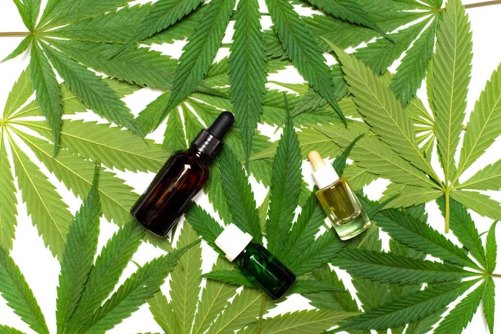 CBD for Chronic Traumatic Encephalopathy