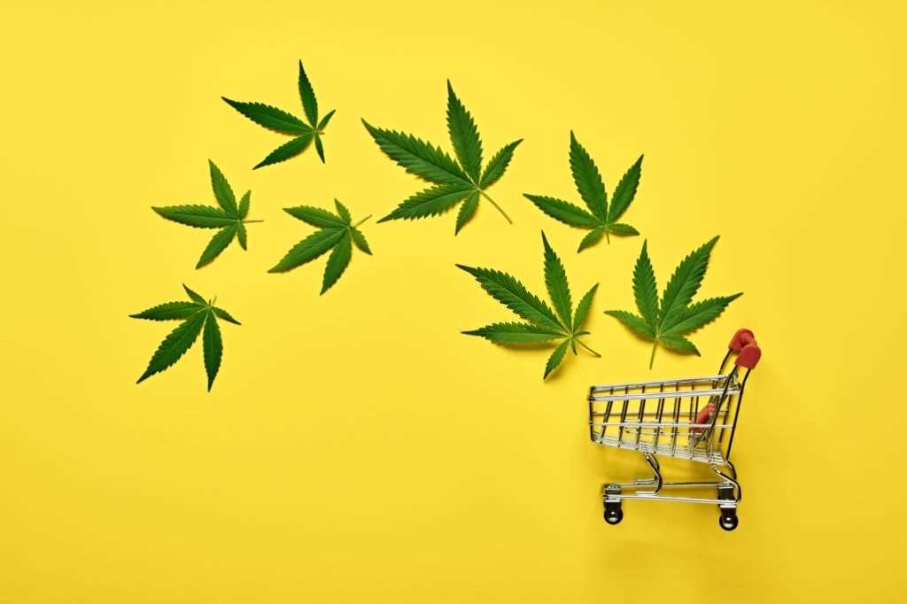 CBD-shopping-guide