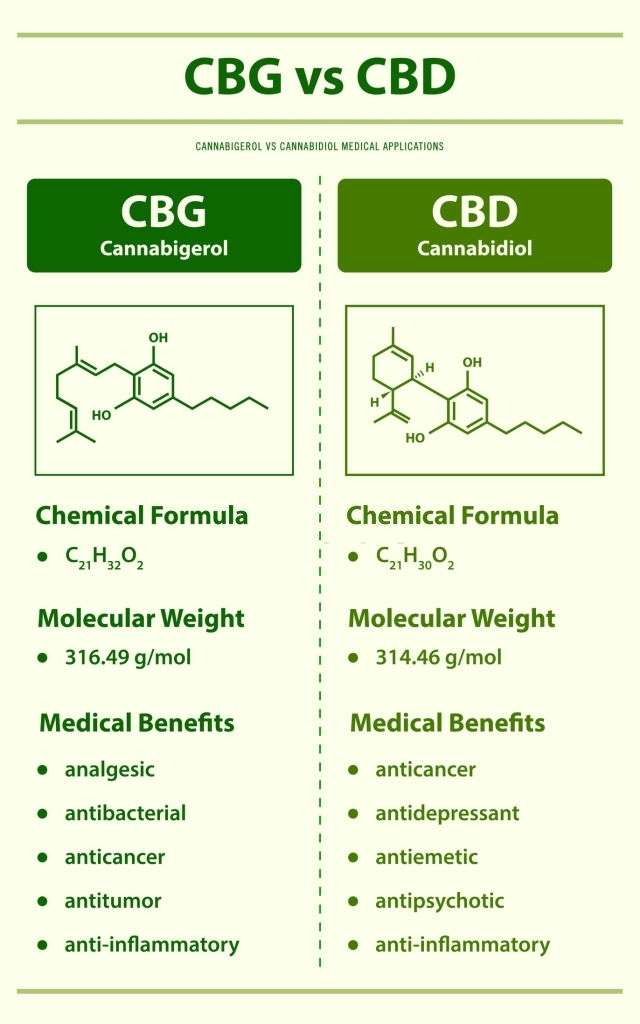 CBD-vs-CBG