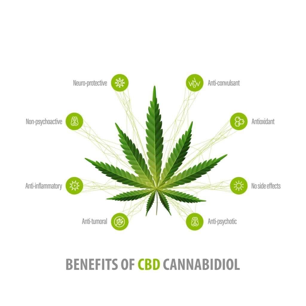 benefits-myths-and-facts-about-cannabidiol