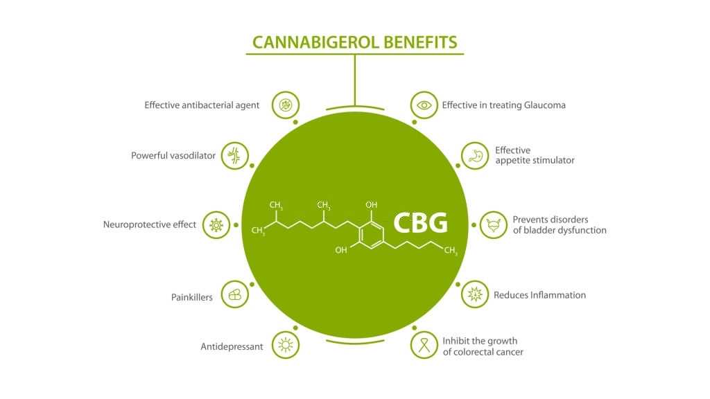 cannabigerol-benefits