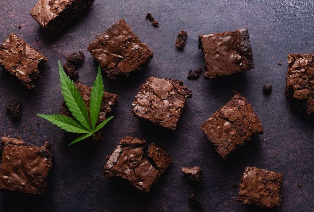 cbd-brownie