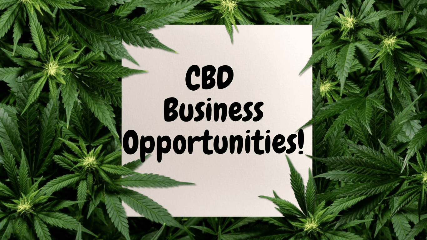 CBD Business Opportunities